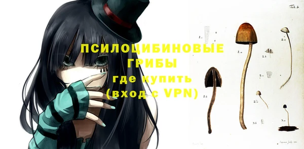 амф Алексеевка