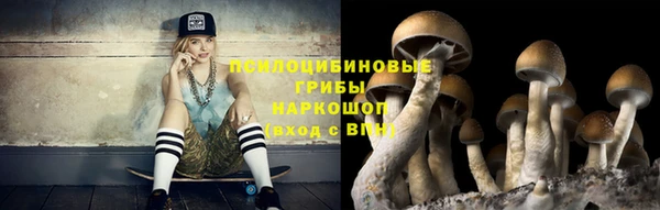 гашик Алзамай