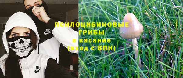 каннабис Алексин