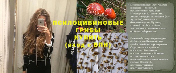 гашик Алзамай