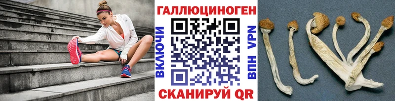 Псилоцибиновые грибы прущие грибы  купить наркотик  Яблоновский 
